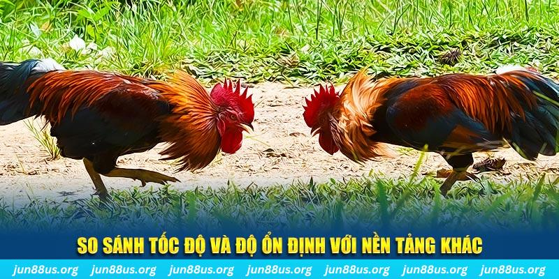 Xem Đá Gà Thomo Trực Tiếp Tại Jun88 – Cập Nhật Liên Tục 7 So sánh tốc độ với nền tảng khác