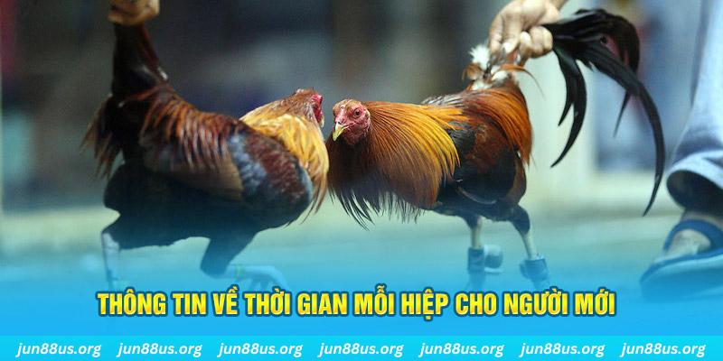 Thông tin về thời gian mỗi hiệp cho người mới