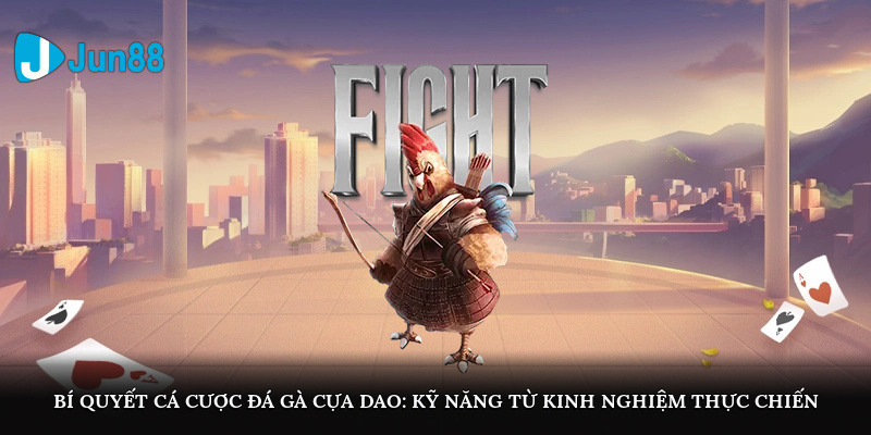 Bí quyết cá cược đá gà cựa dao: Kỹ năng từ kinh nghiệm thực chiến