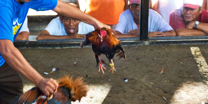 Ưu điểm nổi bật của hệ thống